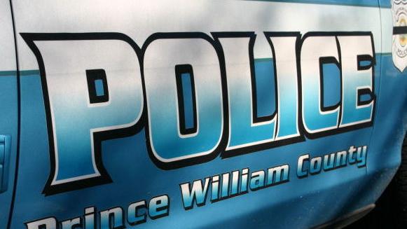 Lake Ridge man charged with killing father, family dog